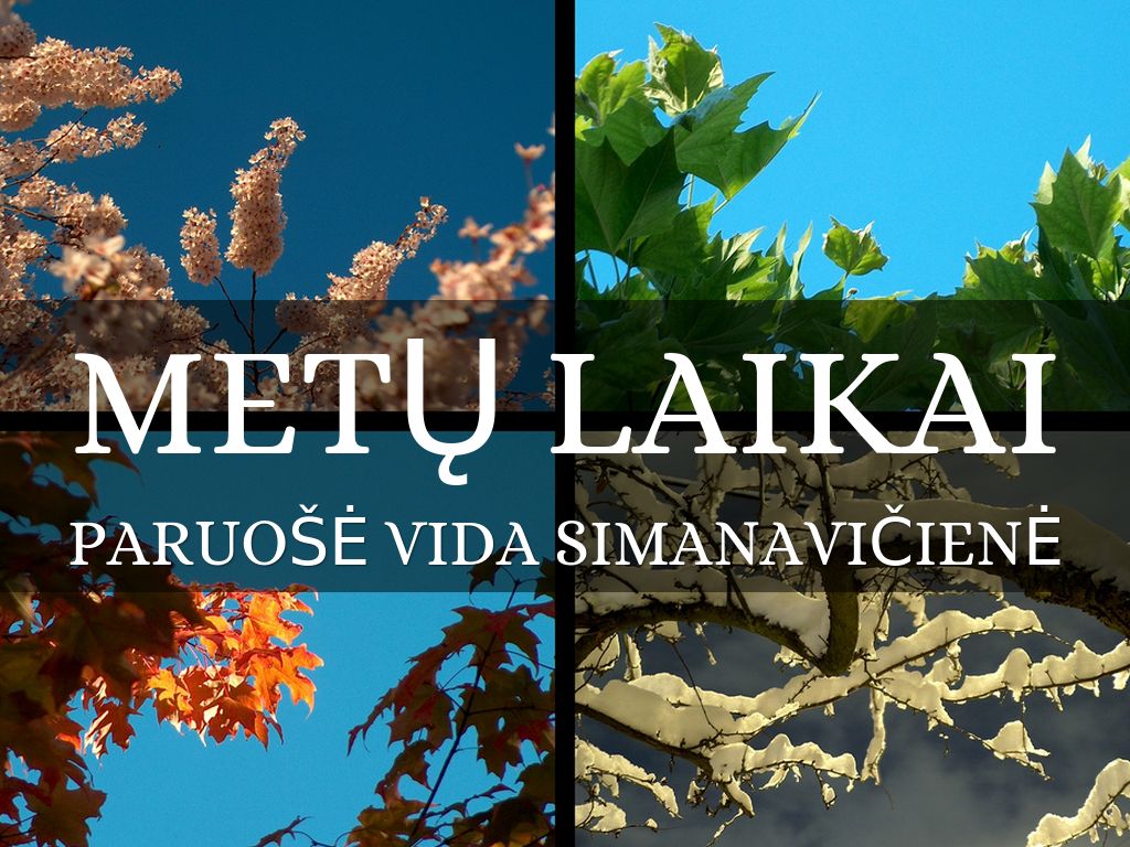 METŲ LAIKAI by vidasima