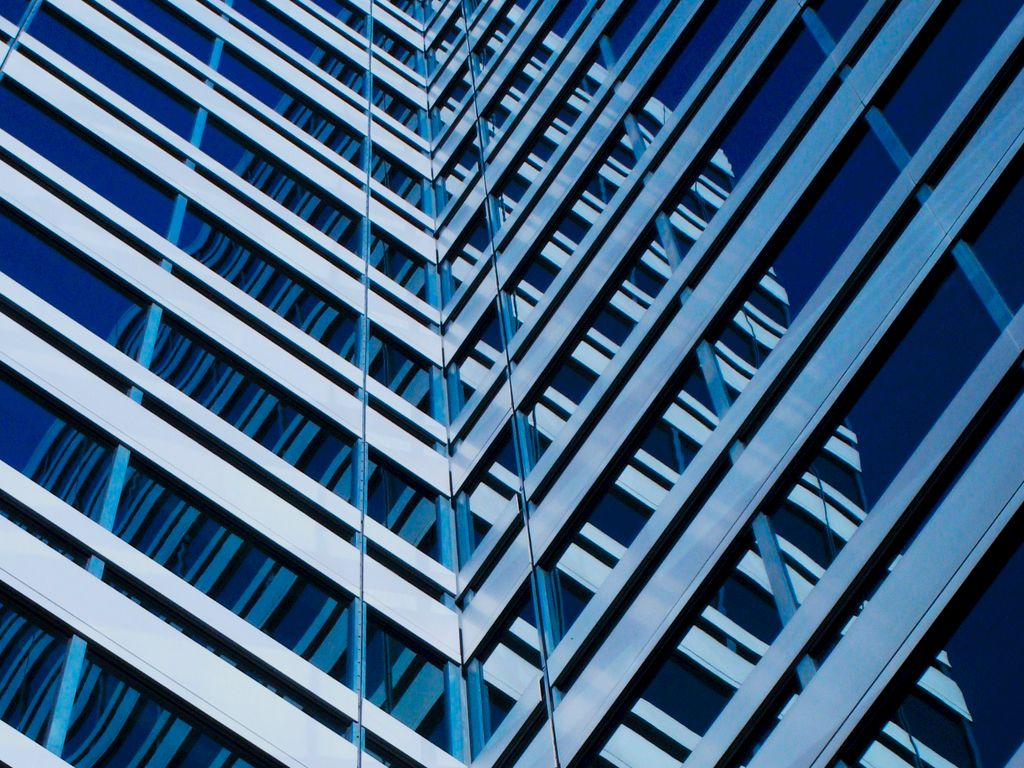 Copia di Professional Profile Template