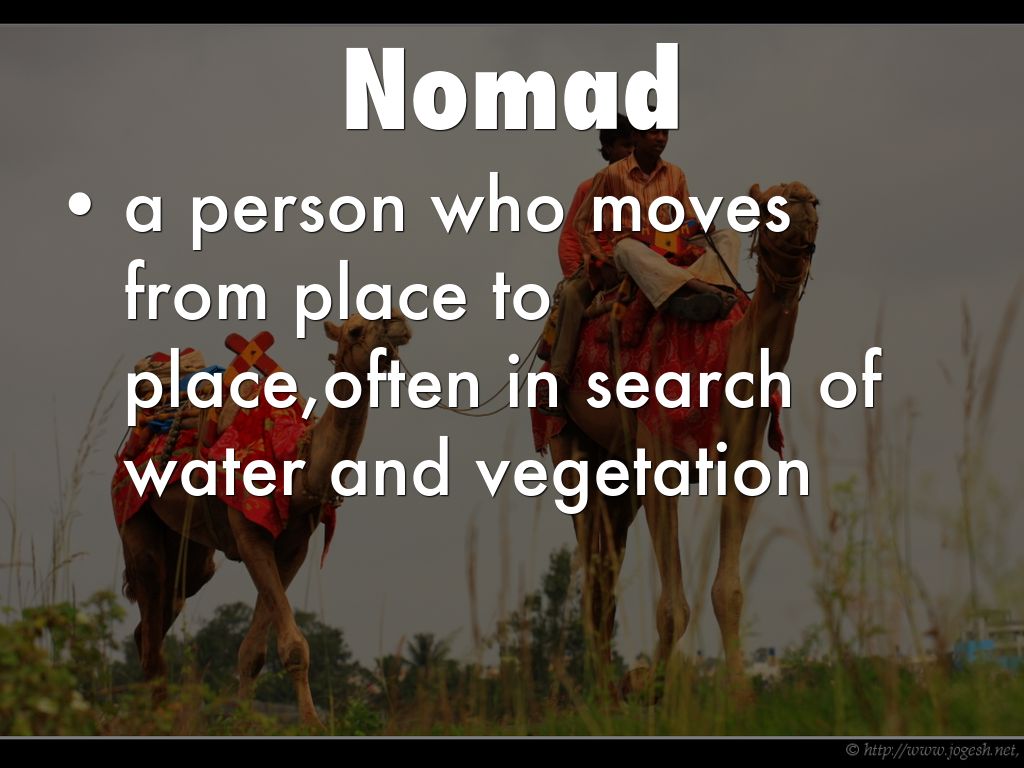 Vocab: rise of islam