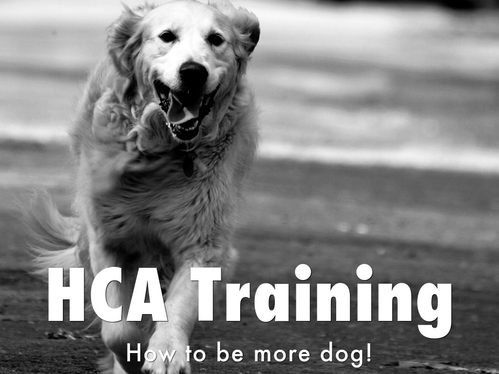 HCA Training