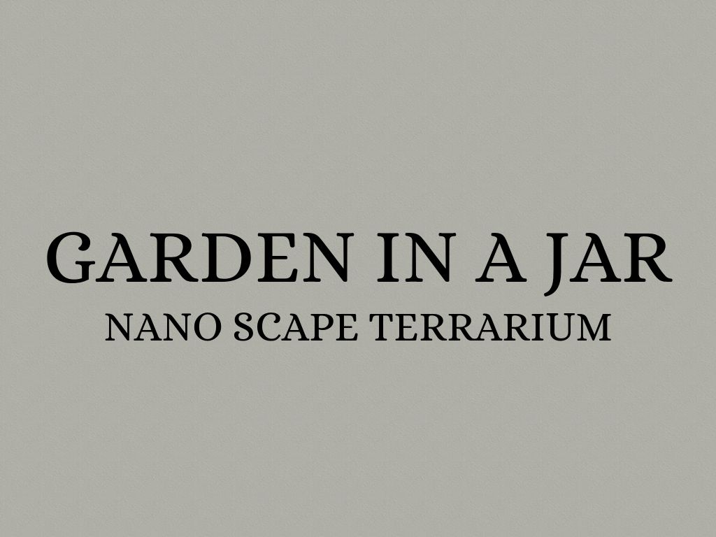 Garden In A Jar