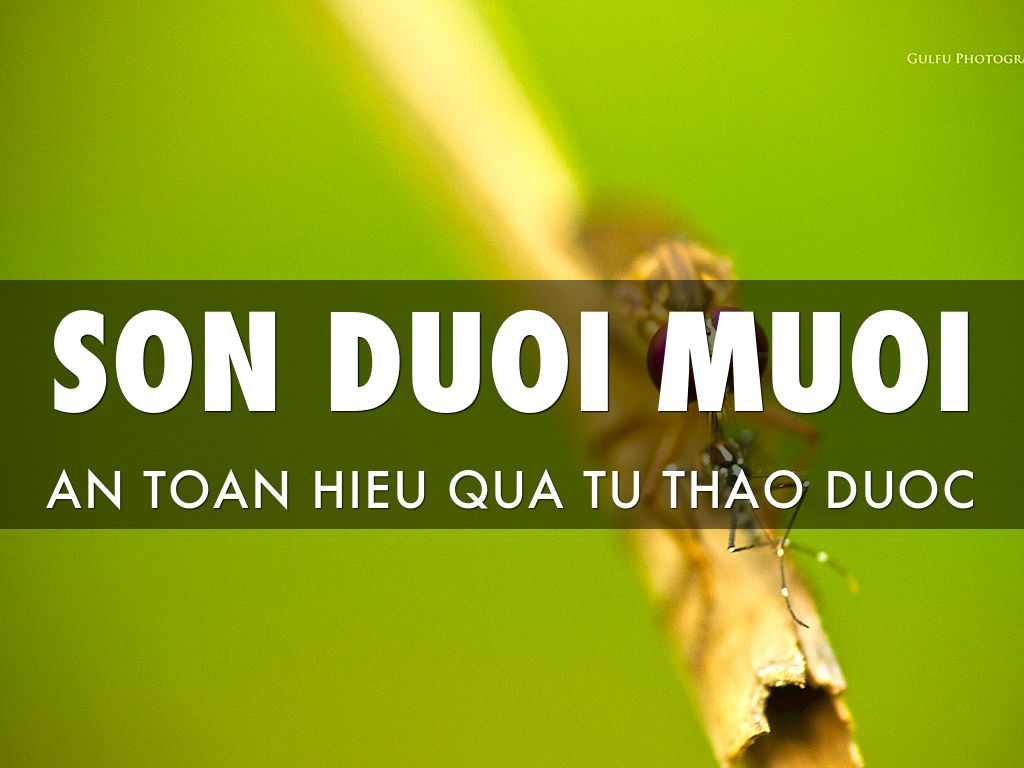 Son Duoi Muoi