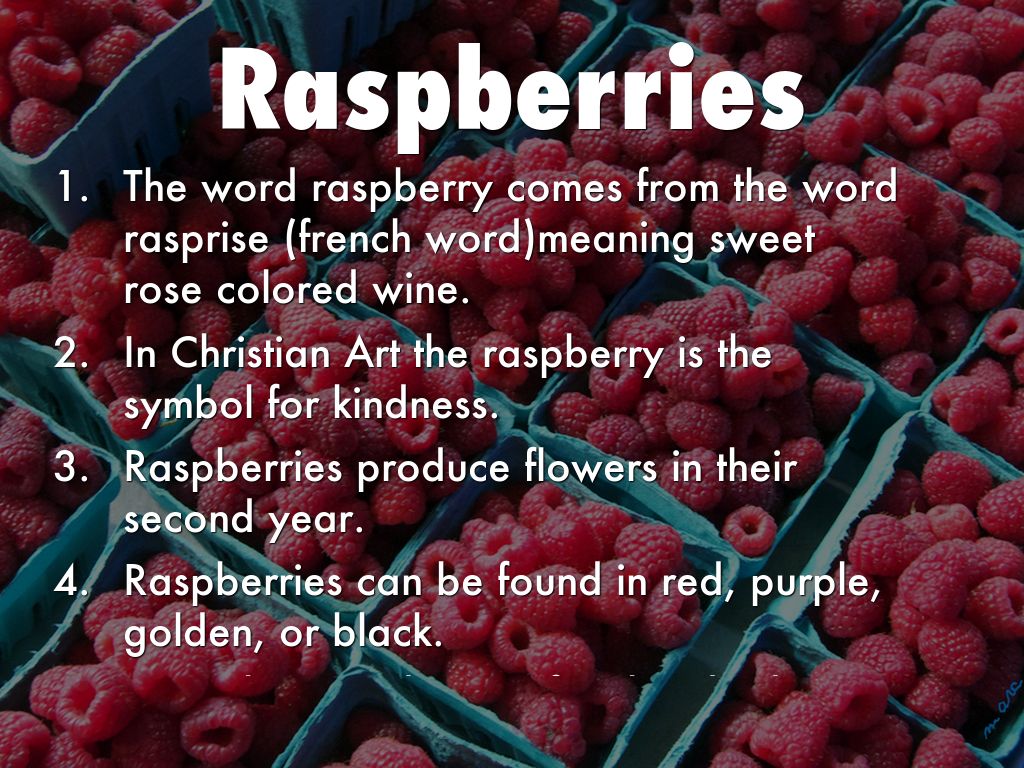 Raspberry Means The Guide To Canadian Wildlife by Haven Loring