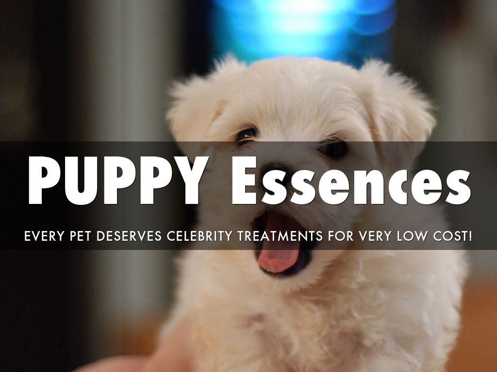 Puppy essences
