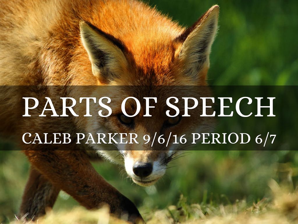 Parts Of Speech
