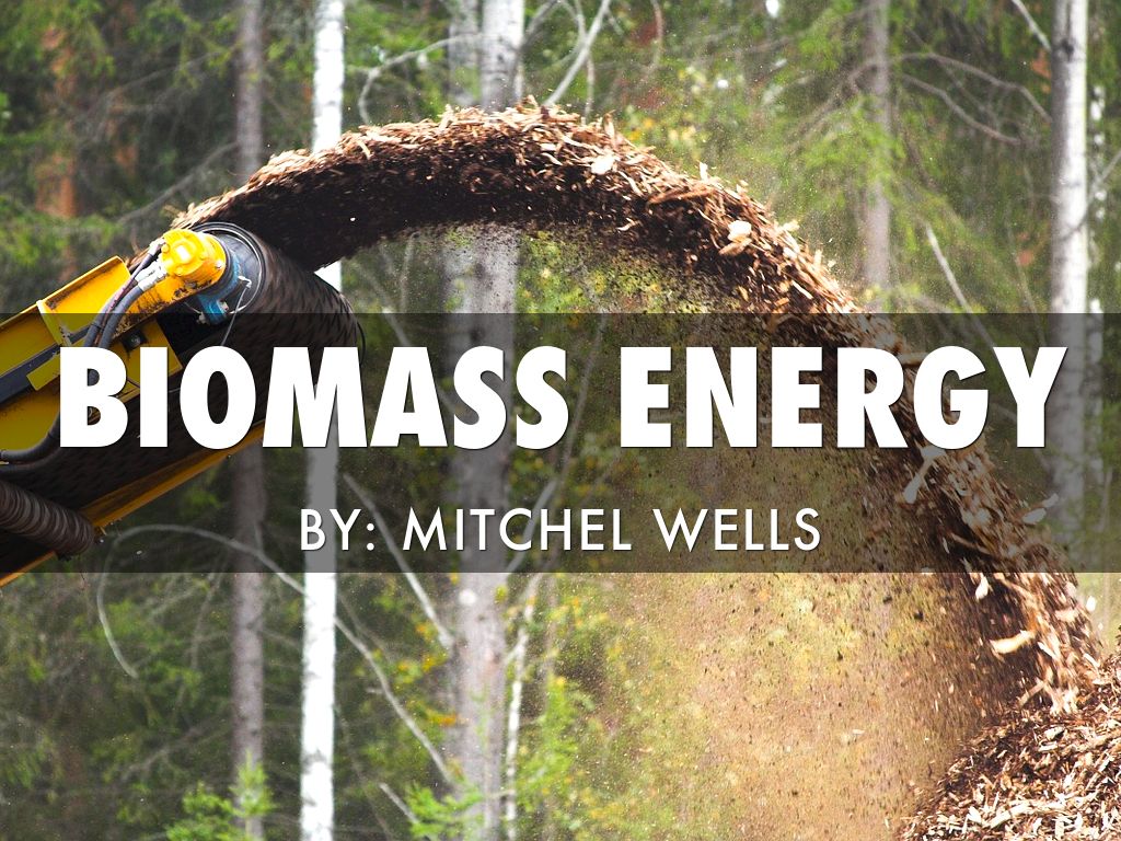 Biomass
