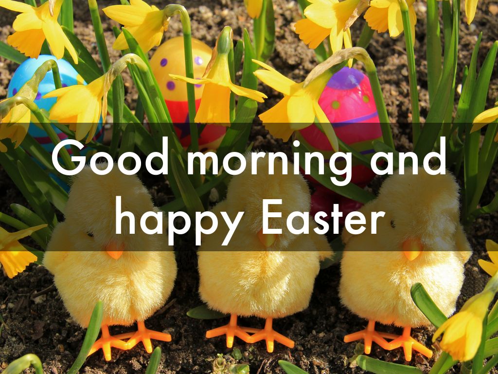 Good morning and happy Easter