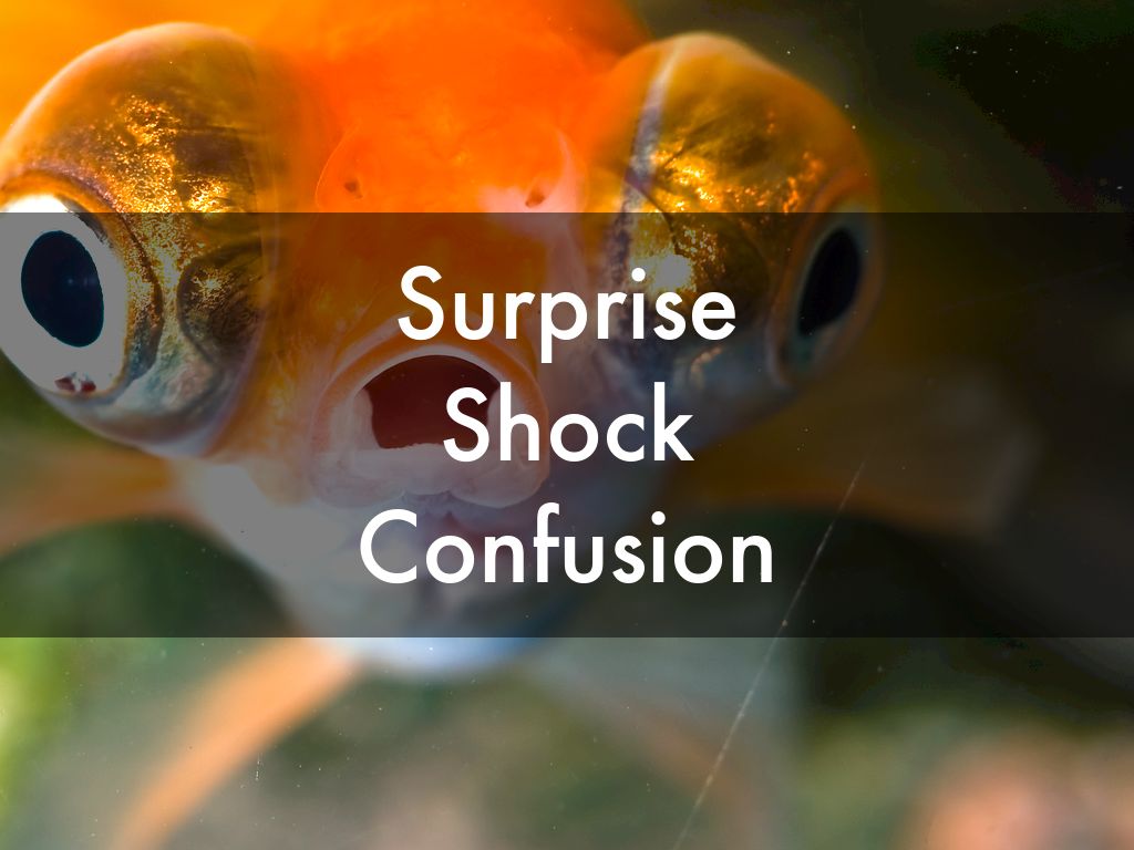 Copy of Surprise Shock Confusion by kochl