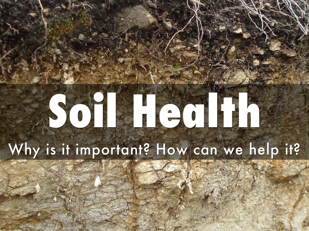 Soil Health