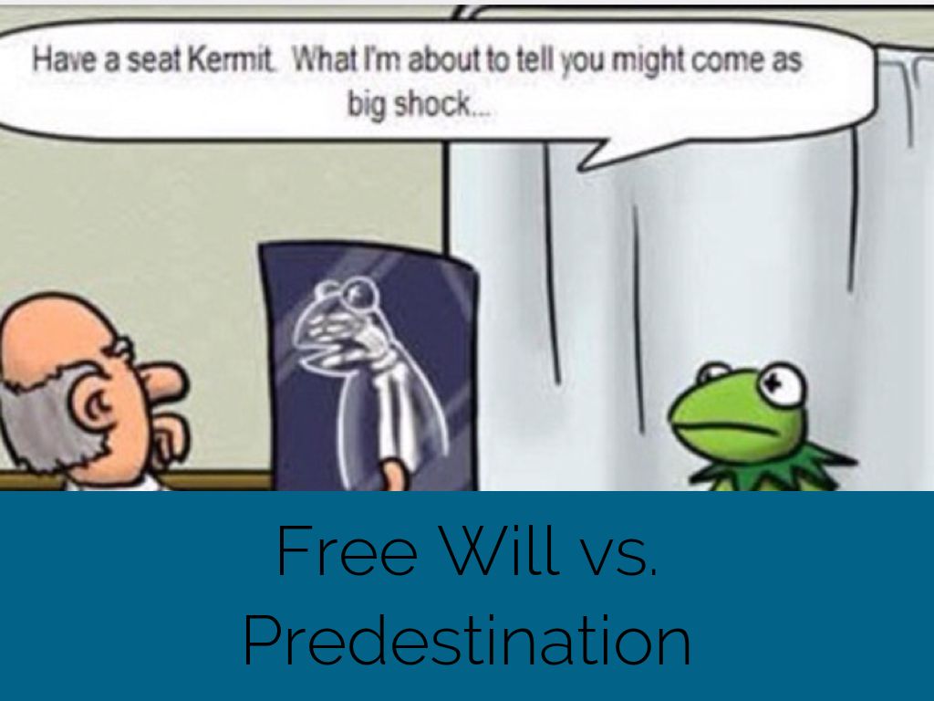 EQ: Predestination