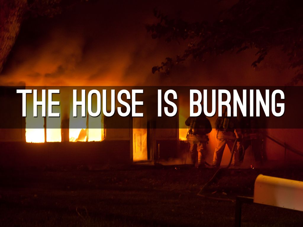 WEEK 14 by Kristin Economos