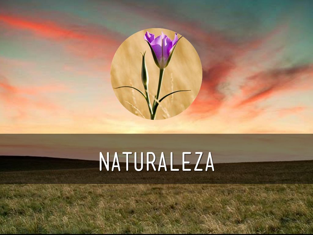 NATURALEZA