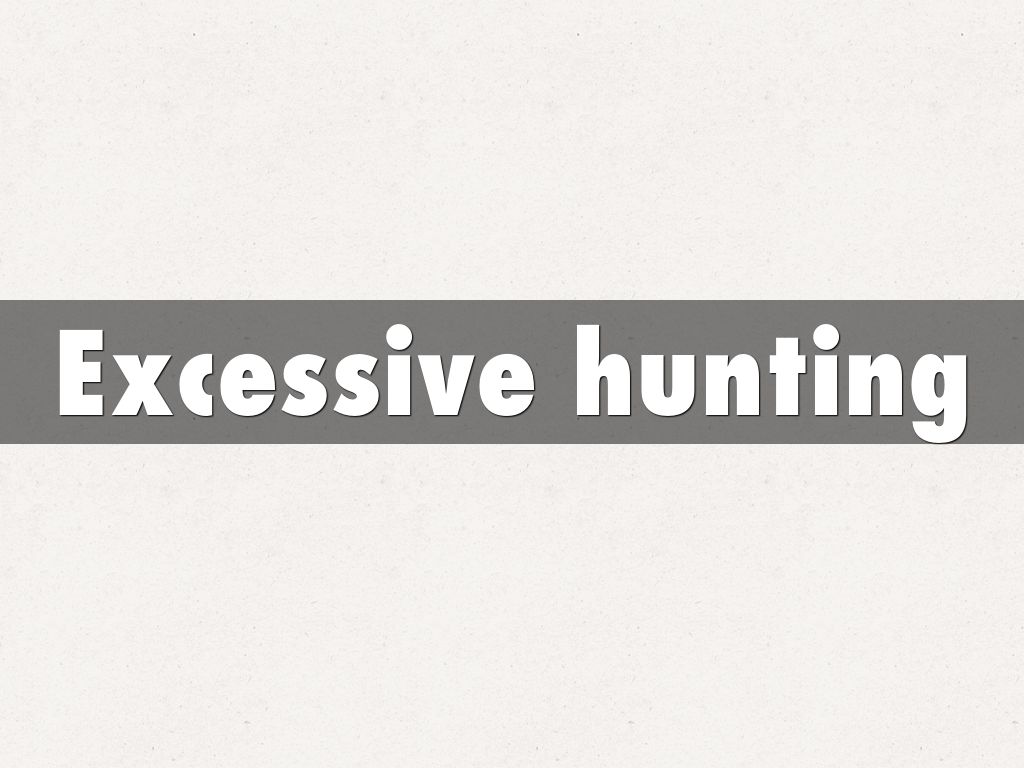 Vocabulary by nbasilio22