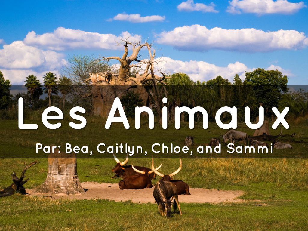 Les Animaux