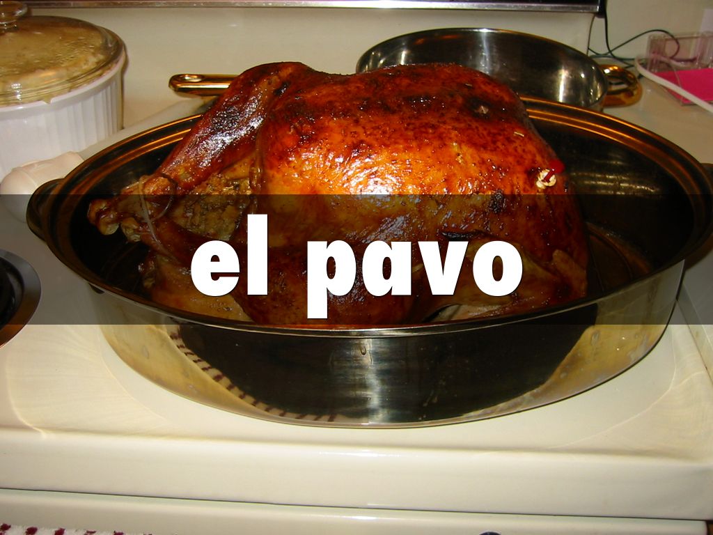 el pavo