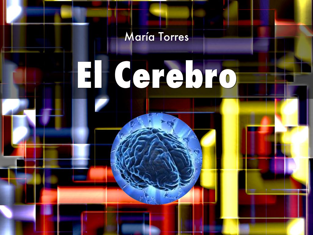 El Cerebro