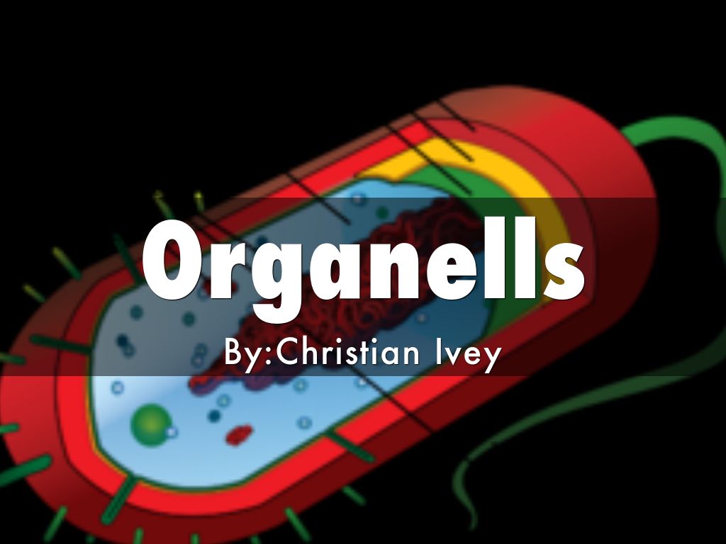 Organells