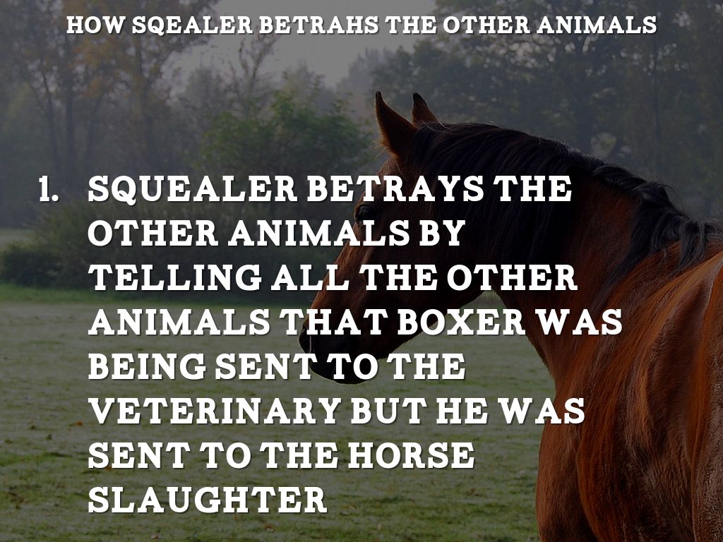 Justin McKee by Justin Mckee