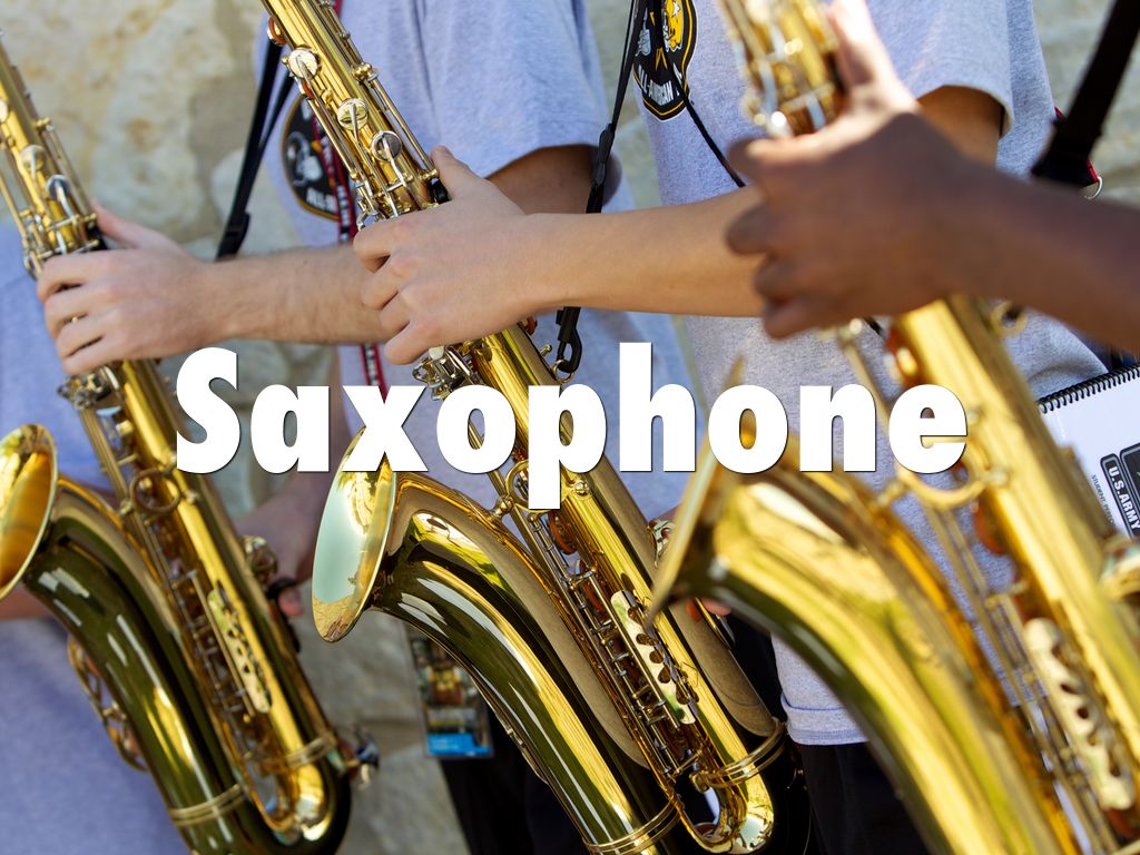 Woodwind Family by Dan Cox