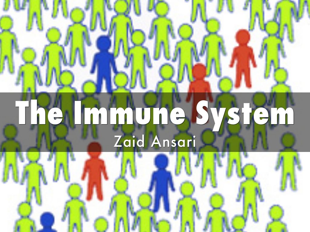 The Immune System
