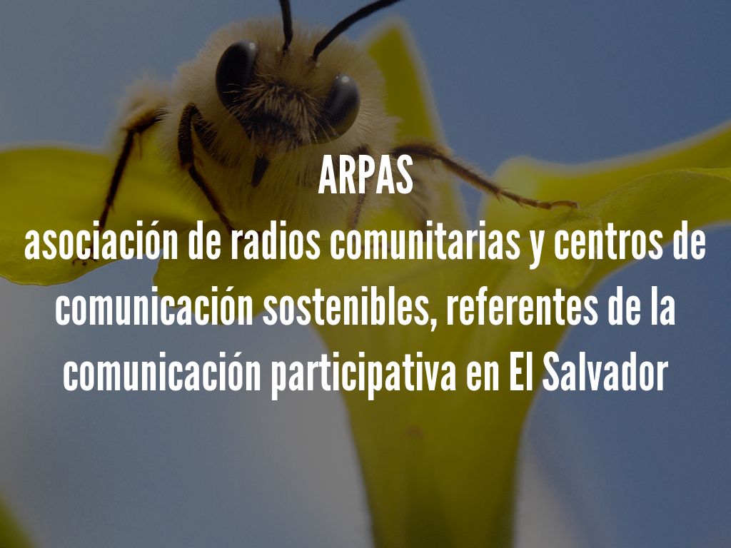 La Radio en El Salvador by Ana Aguilar