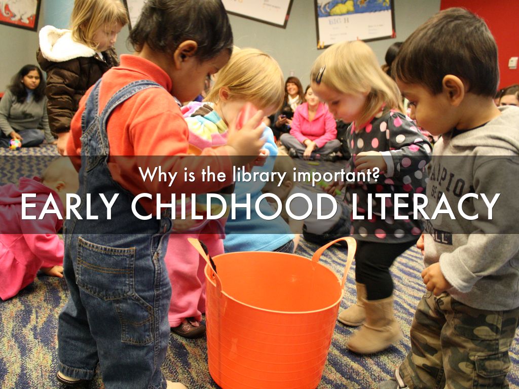 Back Yard Lap Pool Ideas