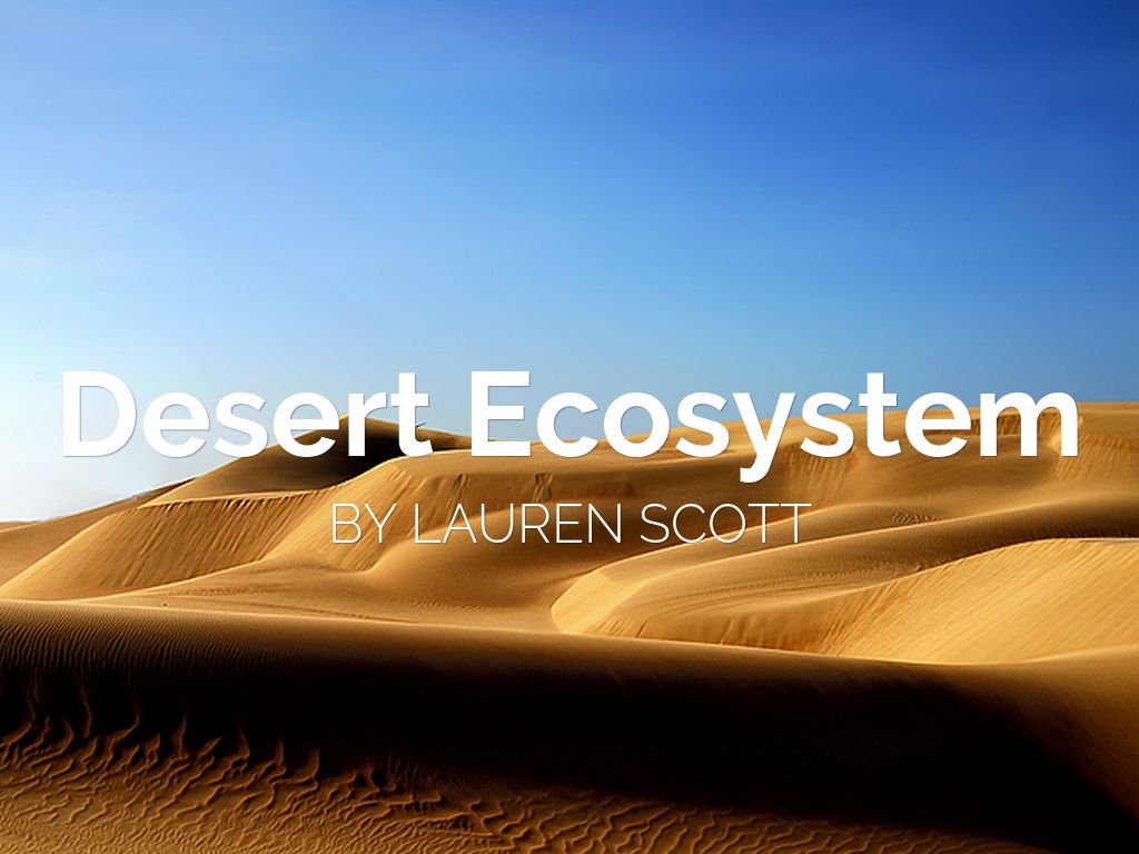 Desert Ecosystem