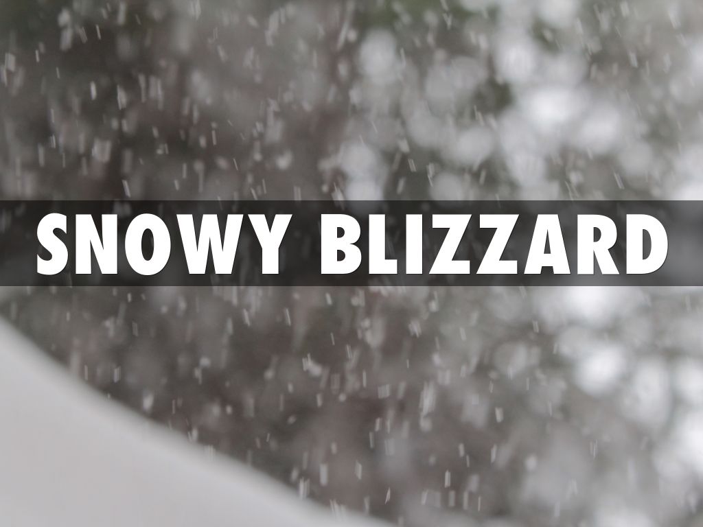 Snowy Blizzard
