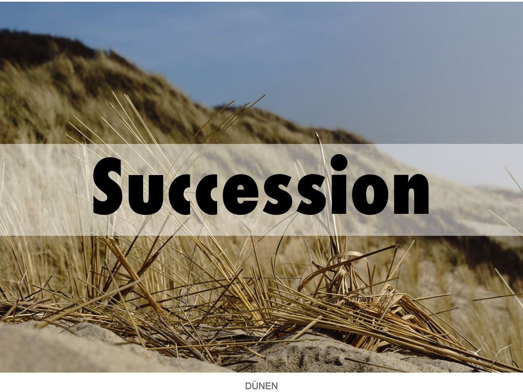 Succession