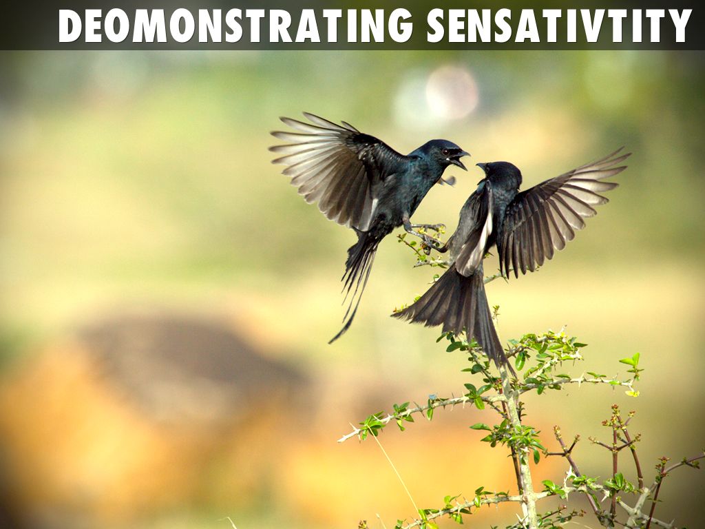 Showing Sensitivity To Others