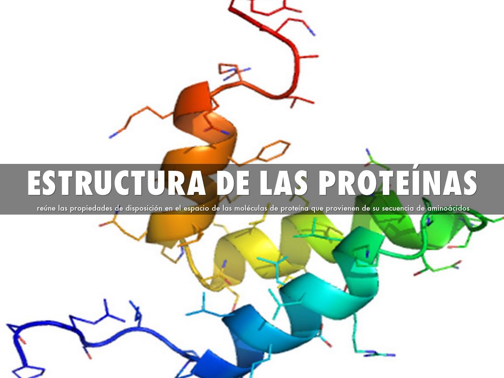 Estructura de las proteínas