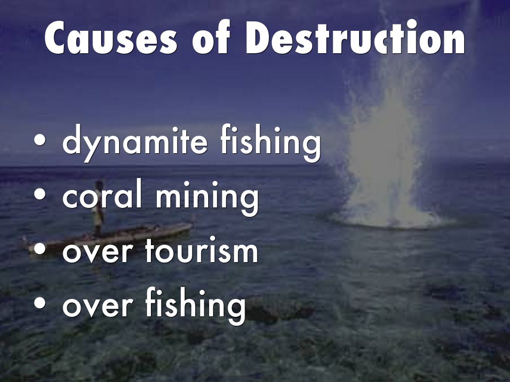 The Harmful Effects of Dynamite Fishing on Coral Reefs