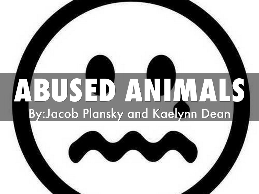 abused animals by jacobplansky