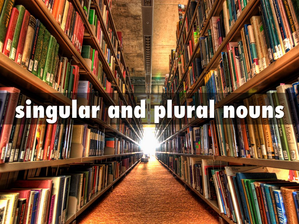 singular and plural nouns