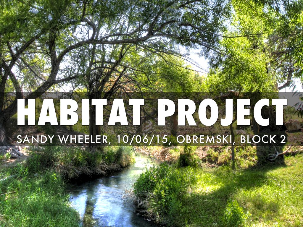 Habitat Project