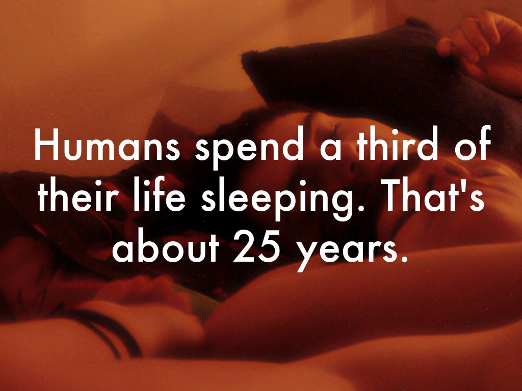 Humans spend a third of their life sleeping. That's about 25 years.