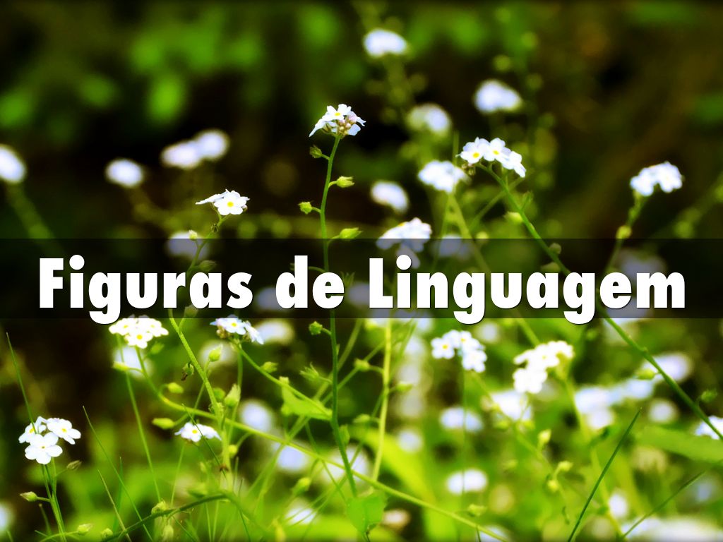 Figuras de Linguagem