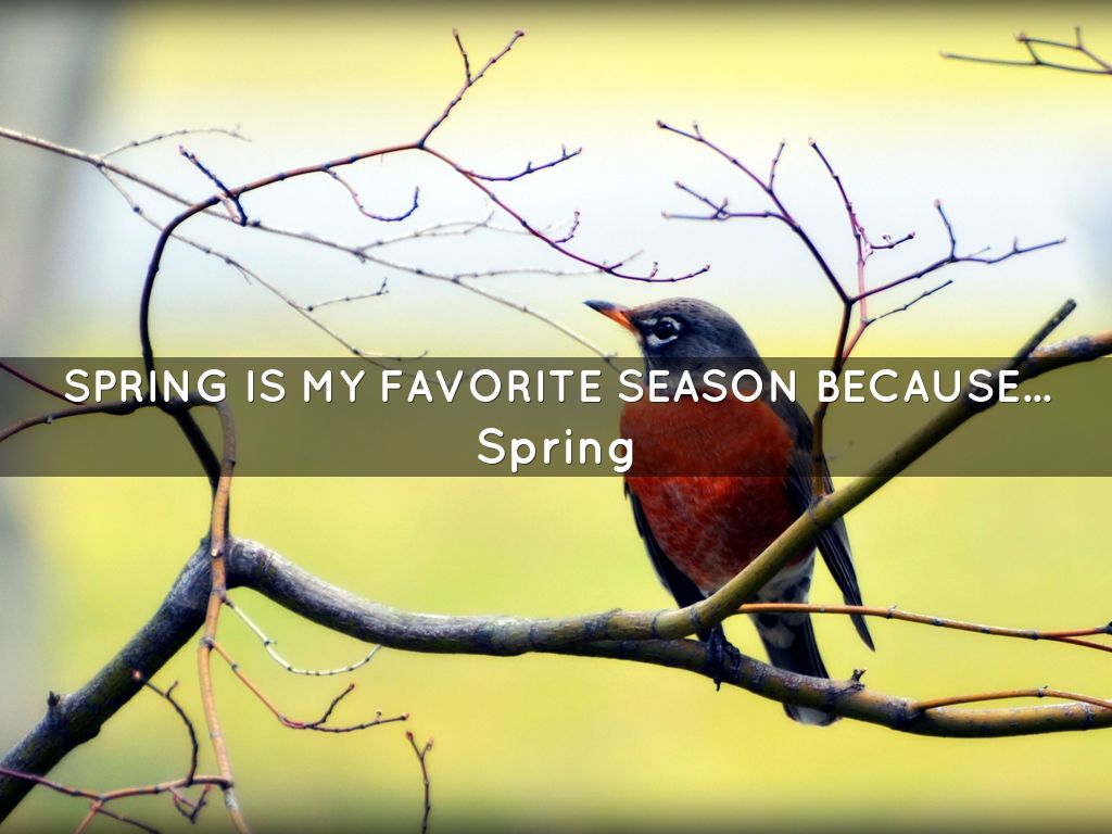 spring-is-my-favorite-season-because-by-linda-denker