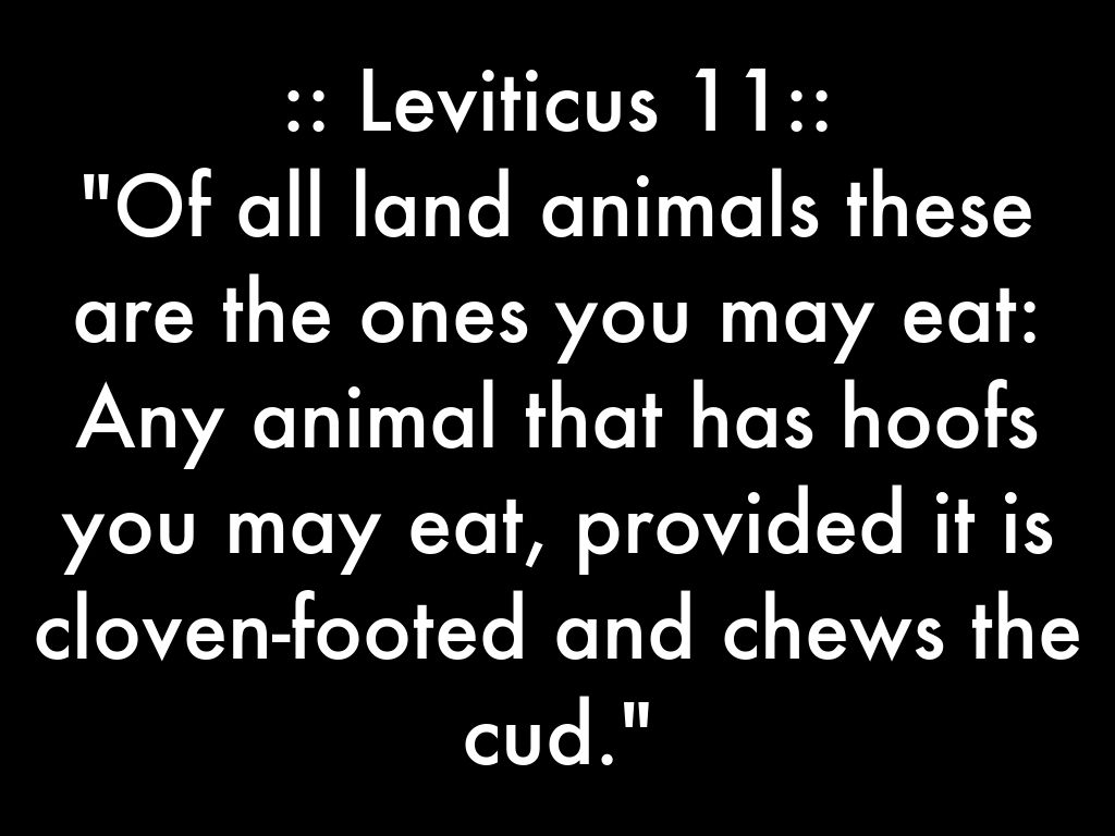 EATING KOSHER by Brendan Dowd