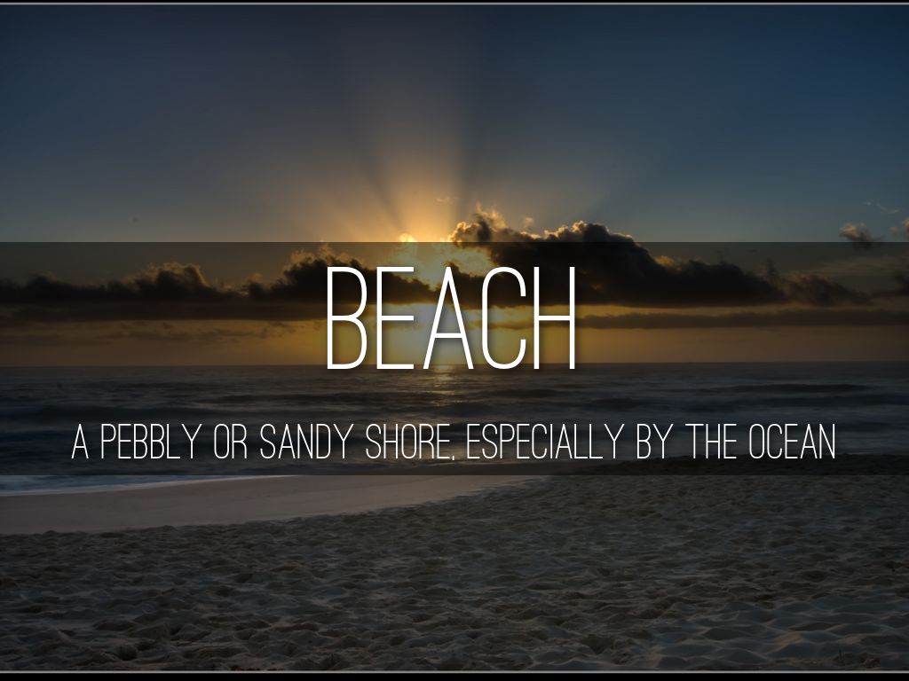 Shore Line Picture Dictionary by ashroo5666