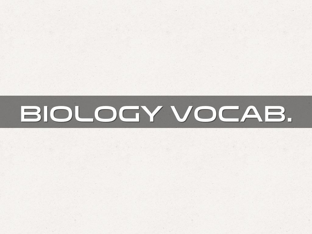 Biology Pd 4 By 1315045300