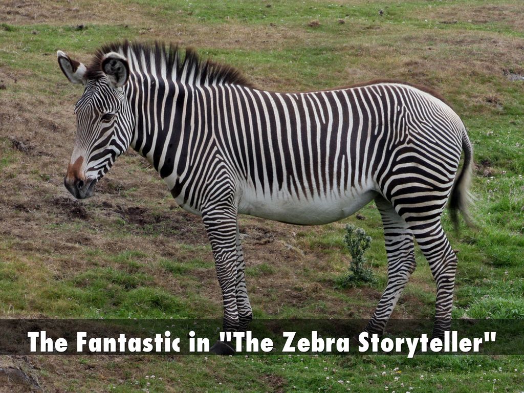 The Fantastic in "The Zebra Storyteller"