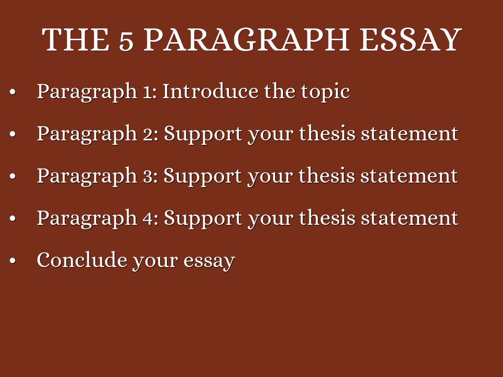 5 Paragraph Essay by kzamarripa