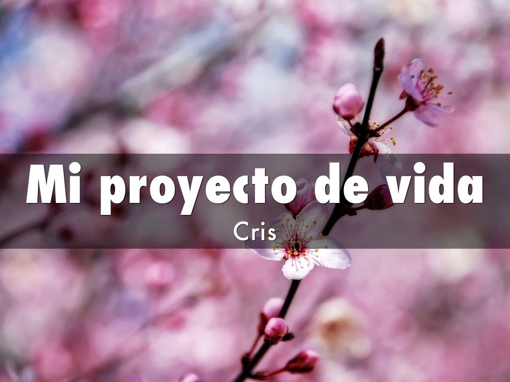 Mi proyecto de vida