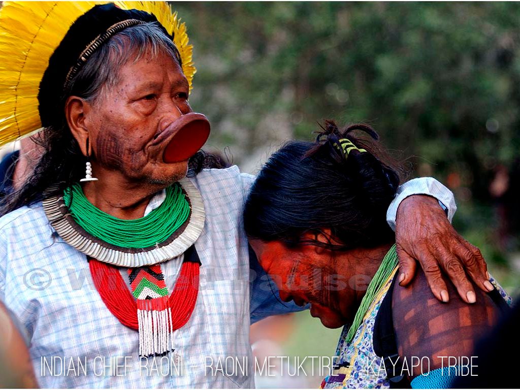 when-will-the-amazon-rainforest-be-gone-tribes-of-amazonian-rainforest