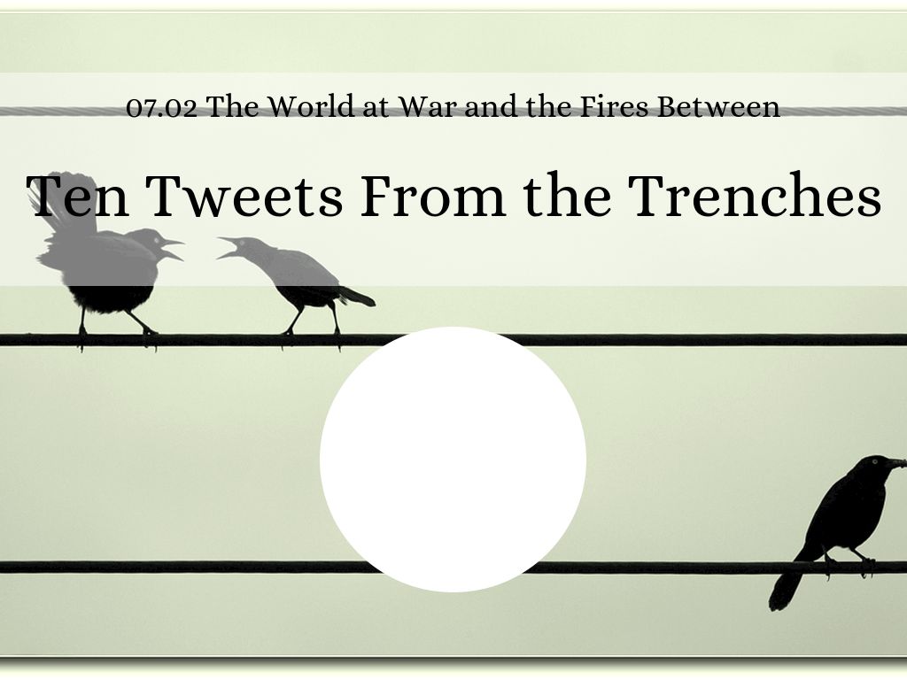 Copy of Customer Quotes & Testimonial Examples