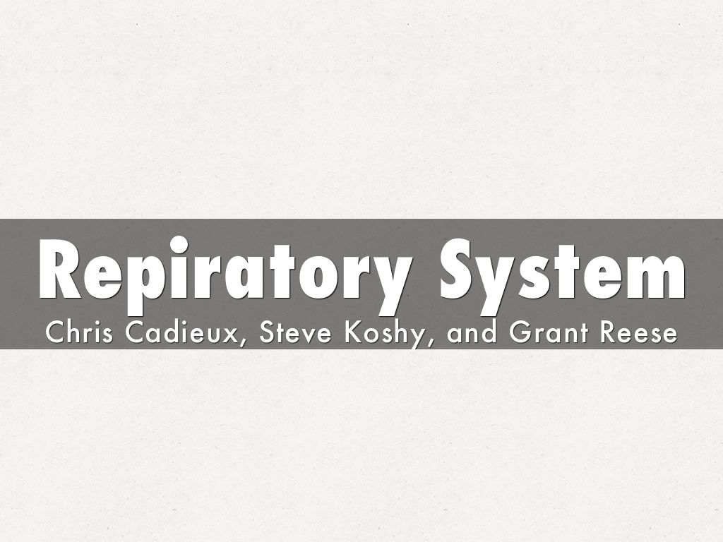Repiratory System