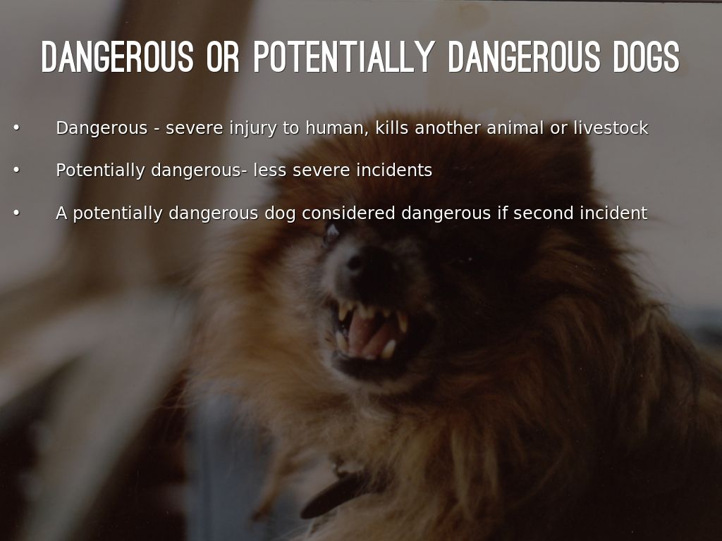 It's a Jungle Out There