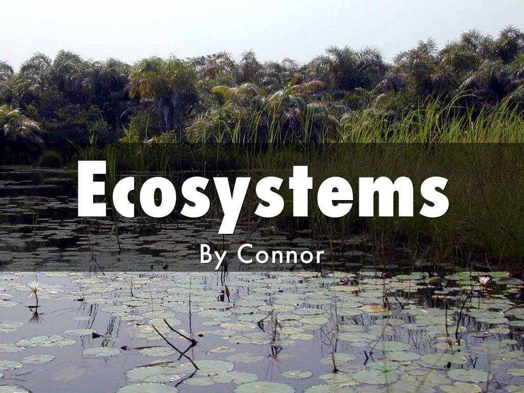 Ecosystems