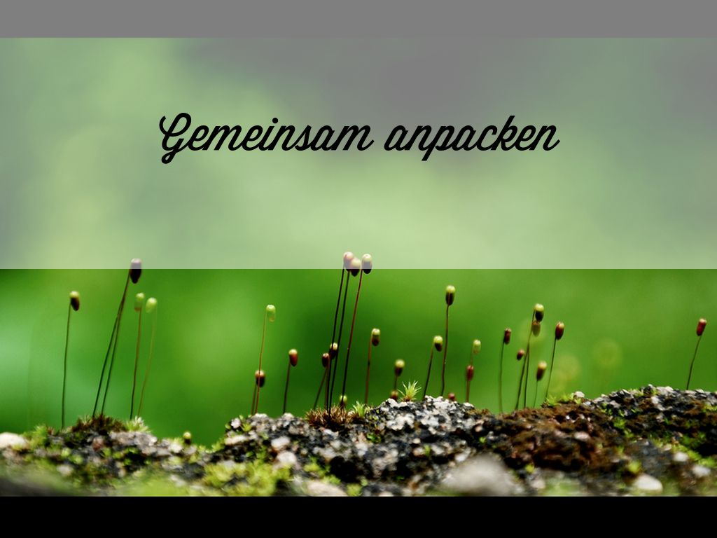 Kopie von To Be Curious